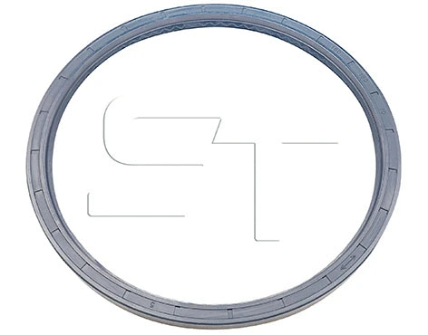 Shaft Seal (11.060.1599.030)