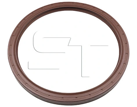 Shaft Seal (11.060.4003.500)