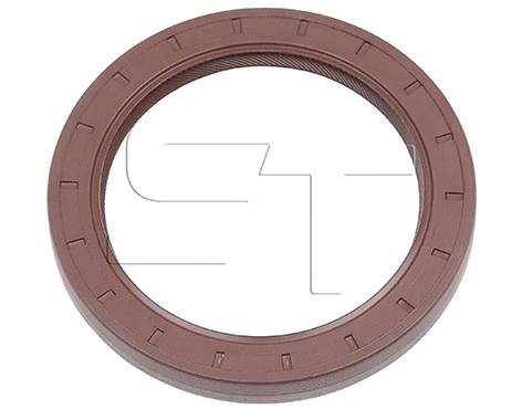 Shaft Seal (11.060.4003.510)