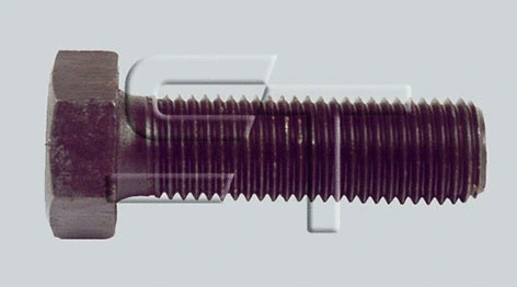 Screw (18.050.9008.016)