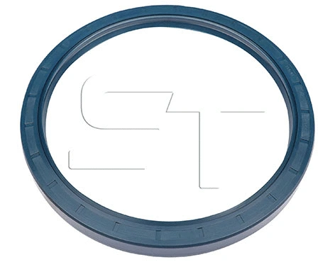 Shaft Seal, wheel hub (11.060.3002.800)