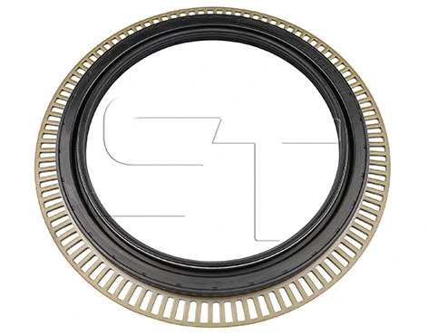 Shaft Seal (11.060.1598.000)