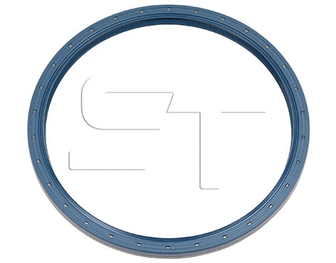 Shaft Seal (11.060.1599.040)