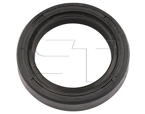 Shaft Seal (11.060.3003.580)
