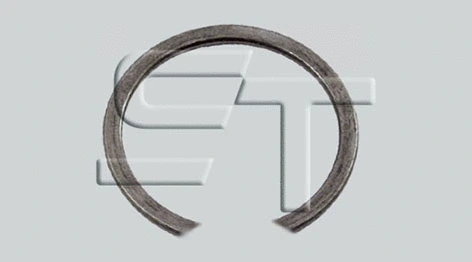 Circlip (08.290.1941.060)