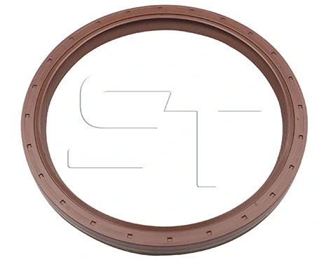 Shaft Seal (11.060.1909.570)