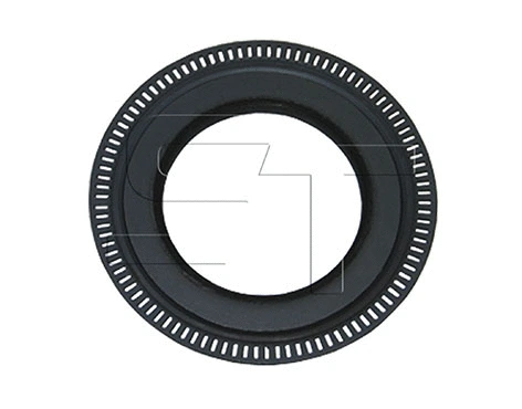 Shaft Seal (11.060.3504.180)