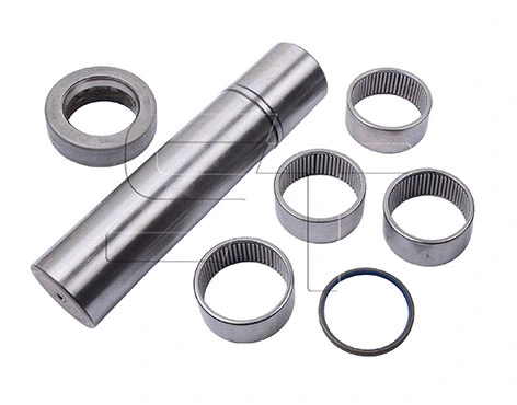 Repair Kit, kingpin (06.040.1029.108)