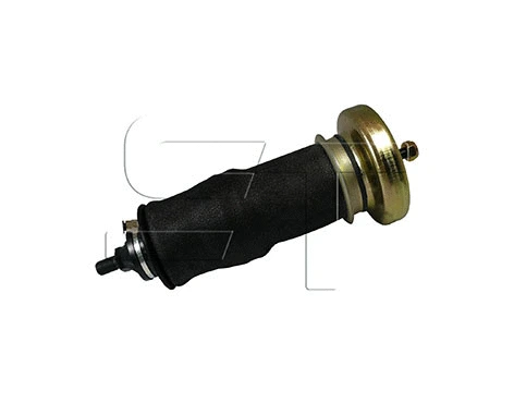 Shock Absorber, driver cab suspension (09.070.3004.408)