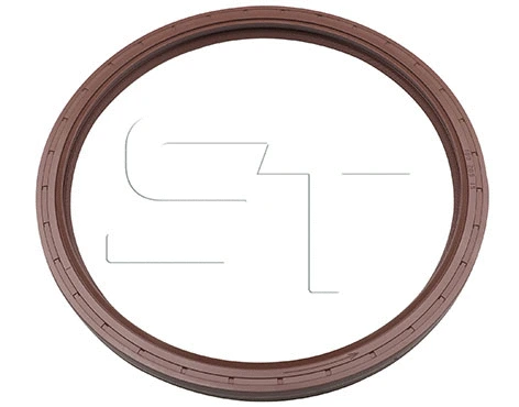 Shaft Seal (11.060.4003.580)