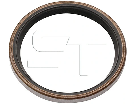 Shaft Seal (11.060.1653.000)