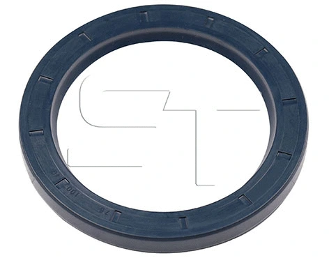 Shaft Seal (11.060.3003.590)