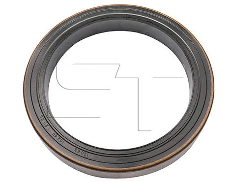 Shaft Seal (11.060.4200.200)