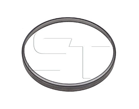 Seal Ring, wheel hub (11.040.0249.050)