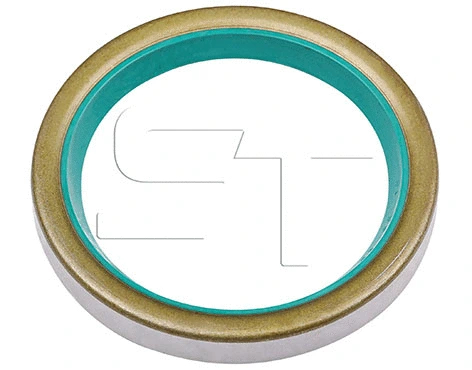 Shaft Seal (11.060.1909.330)