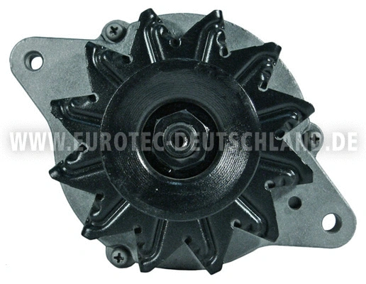Alternator (12060018)