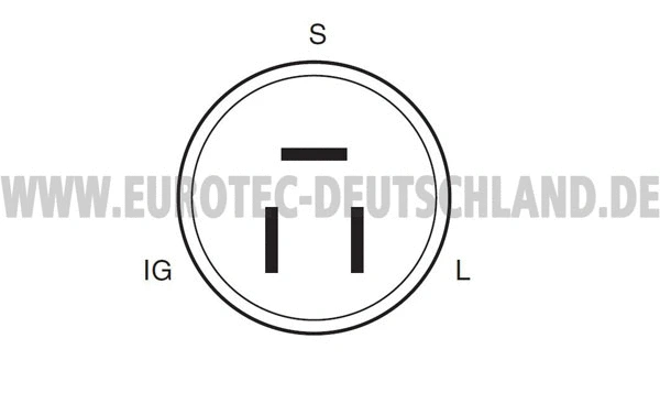 Alternator (12060055)