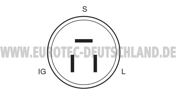 Alternator (12060031)