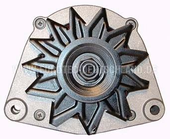 Alternator (12034120)