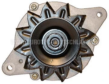Alternator (12060326)