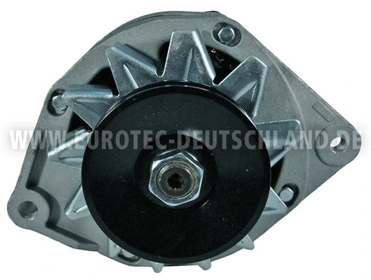 Alternator (12042060)