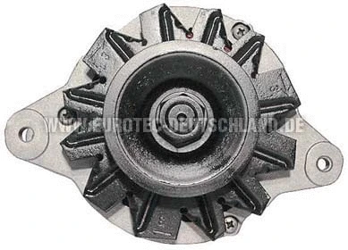 Alternator (12060139)