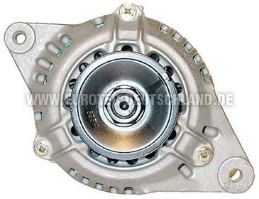 Alternator (12060094)