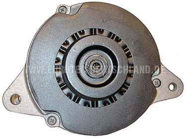Alternator (12060333)