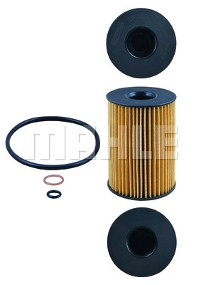 Oil Filter