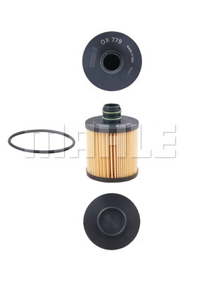 Oil Filter