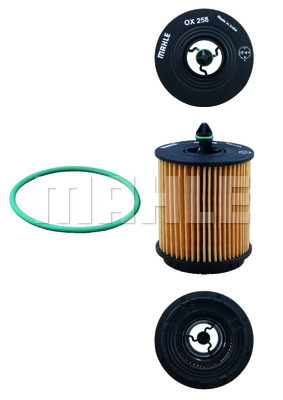 Oil Filter (OX 258D)