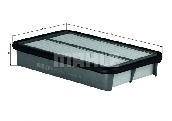 Air Filter (LX 807)