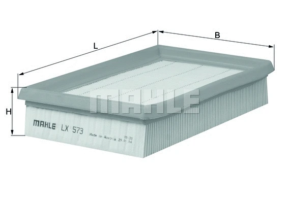 Air Filter (LX 573)