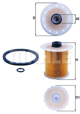 Fuel Filter (KX 81D)