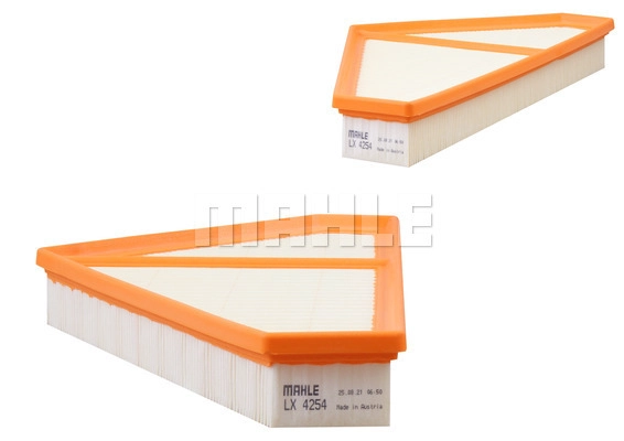 Air Filter (LX 4254)