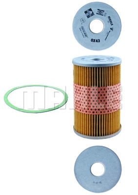 Oil Filter