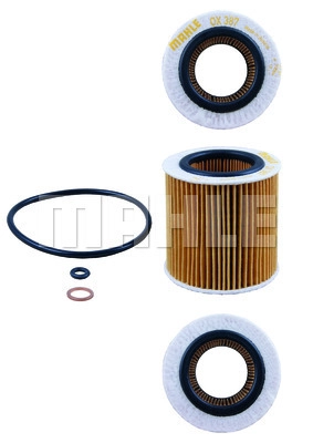 Oil Filter