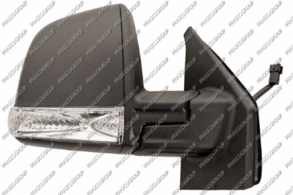 Exterior Mirror (FT9107113)