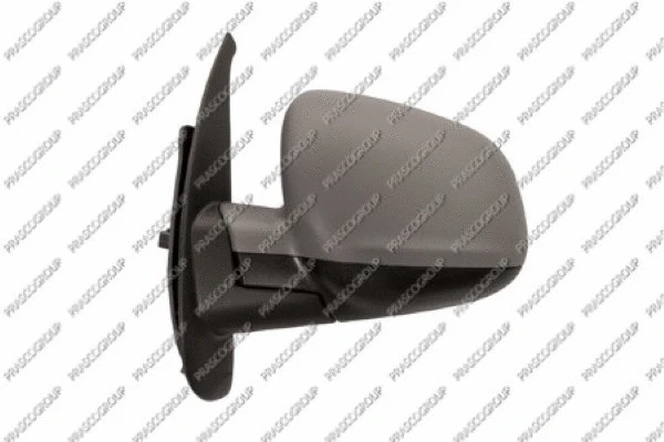 Exterior Mirror (RN9217314)