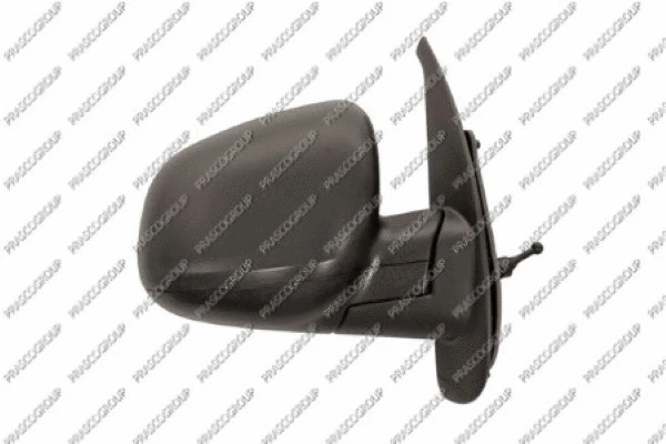 Exterior Mirror (RN9217003)