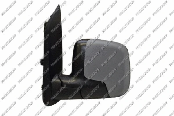 Exterior Mirror (FT9077324)