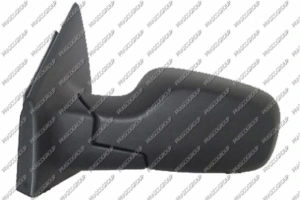 Exterior Mirror (RN3257314P)