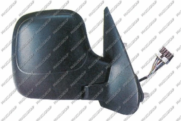 Exterior Mirror (PG9047313)