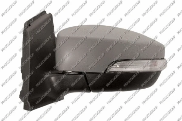 Exterior Mirror (FD8047304)