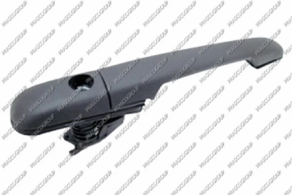 Exterior Door Handle (VG9508311)