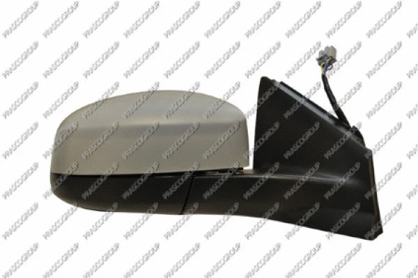 Exterior Mirror (FD1107343)