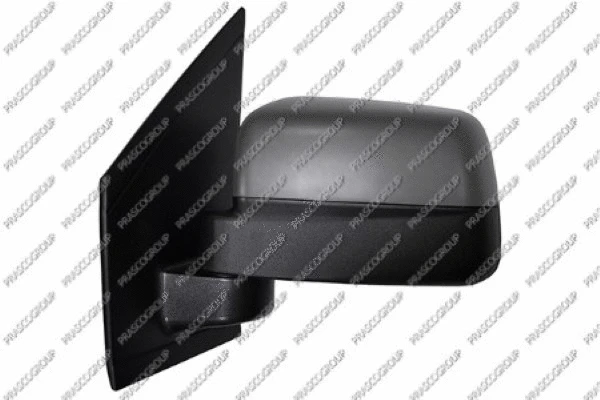Exterior Mirror (FD9347314P)