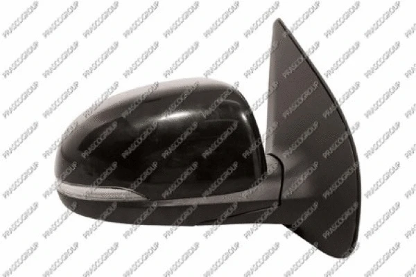 Exterior Mirror (HN2027323)