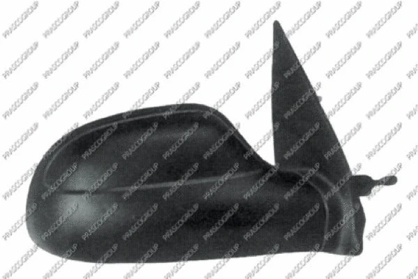 Exterior Mirror (CI0237113)