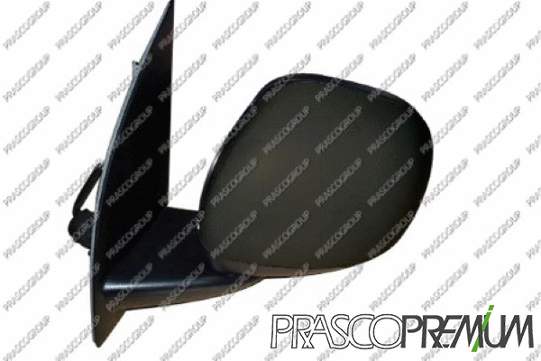 Exterior Mirror (FT1237003P)